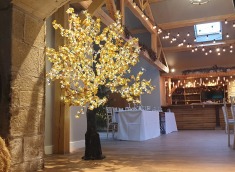 wish-tree-light